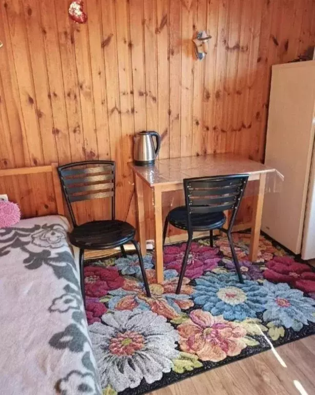 Студия Краснодарский край, Сочи Центральный мкр, пер. Ряжский, 11 ... - Фото 2