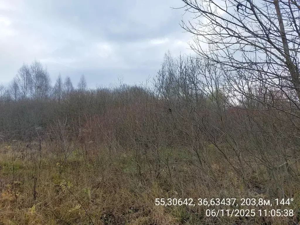 Участок в Московская область, Наро-Фоминский городской округ, пос. ... - Фото 2