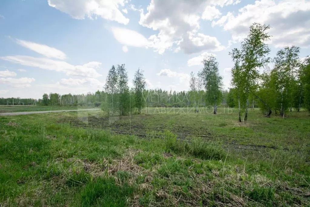 Участок в Тюменская область, Тюменский муниципальный округ, Дачи Хюгге ... - Фото 2