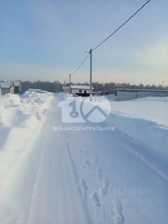 Участок в Новосибирская область, Мошковский район, Барлакский ... - Фото 1