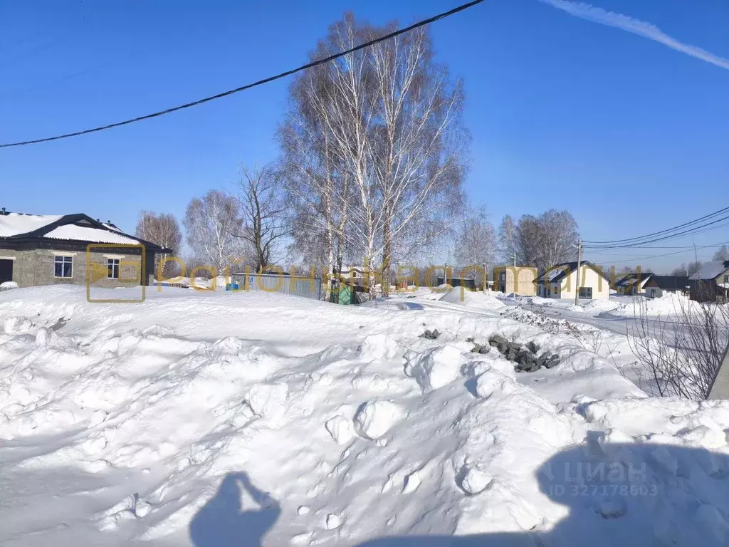 Участок в Новосибирская область, Новосибирский район, Кудряшовский ... - Фото 1