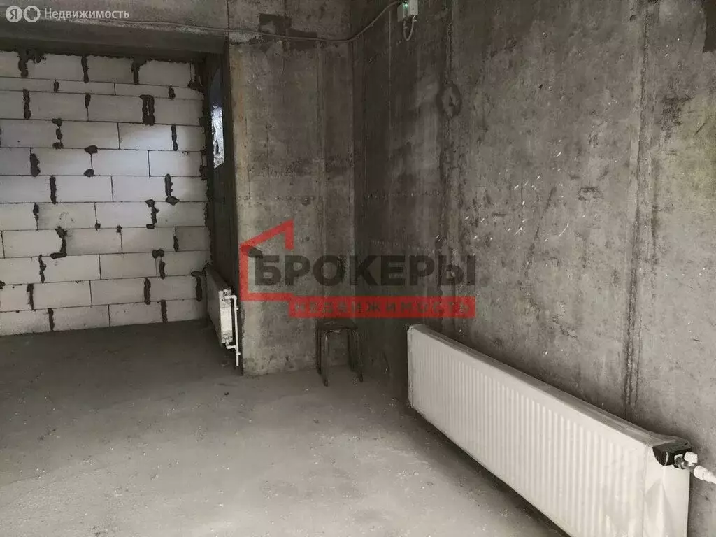Помещение свободного назначения (36.5 м) - Фото 1