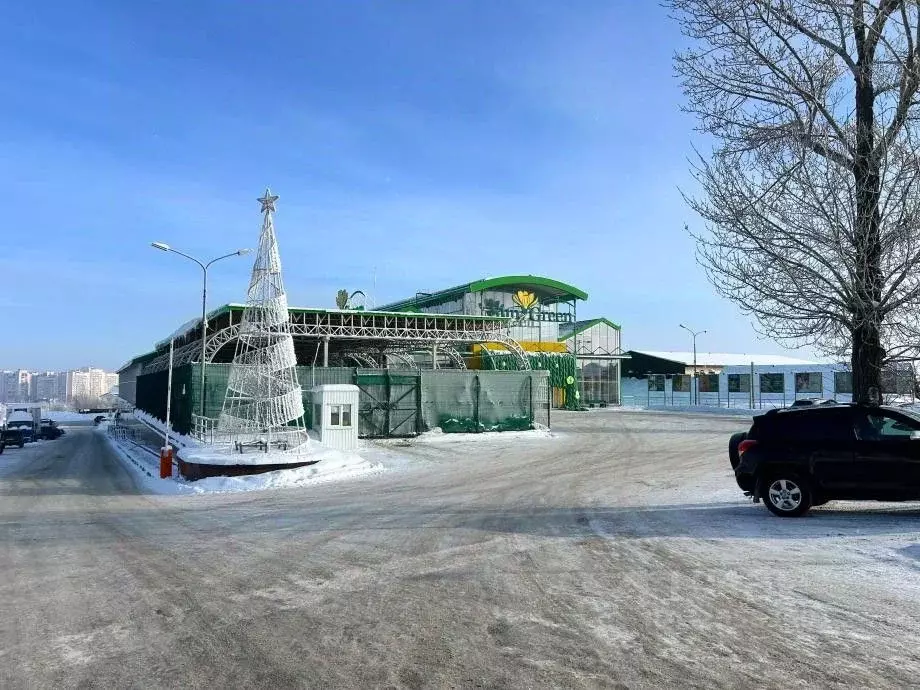 Торговая площадь в Саратовская область, Саратов ул. Усть-Курдюмская, ... - Фото 1