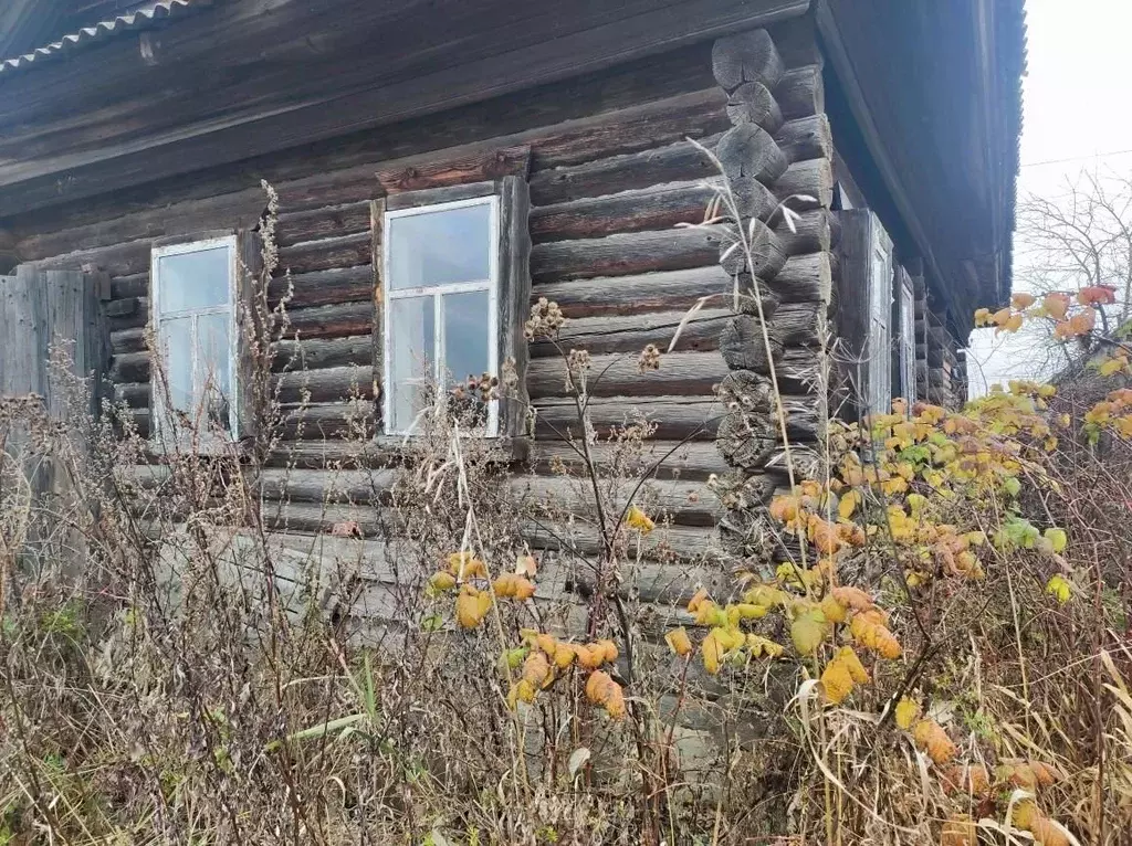 Помещение свободного назначения в Пермский край, Осинский ... - Фото 2