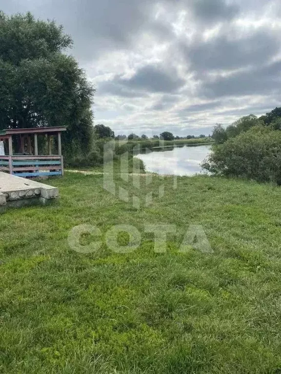 Участок в Липецкая область, Хлевенский муниципальный округ, с. ... - Фото 1