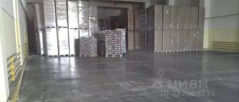 Склад в Марий Эл, Медведево городское поселение, Медведево пгт ул. ... - Фото 2