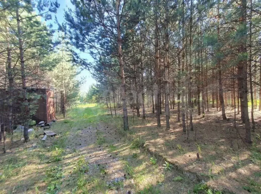 Участок в Красноярский край, Емельяновский муниципальный округ, Сказка ... - Фото 1