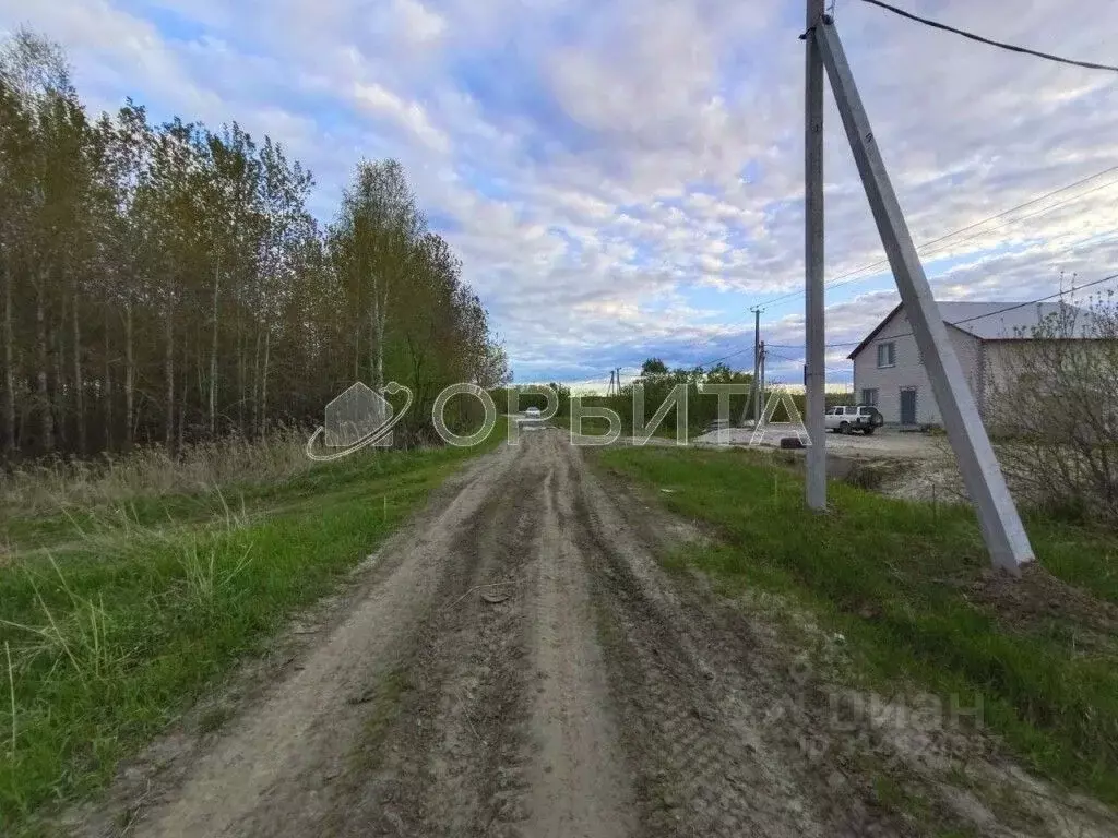 Участок в Тюменская область, Тюменский район, с. Борки  (5.77 сот.) - Фото 0