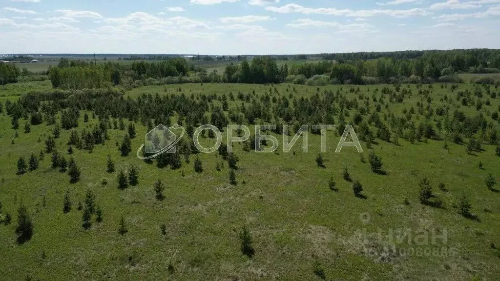 Участок в Тюменская область, Тюменский район, с. Горьковка Сибирская ... - Фото 0