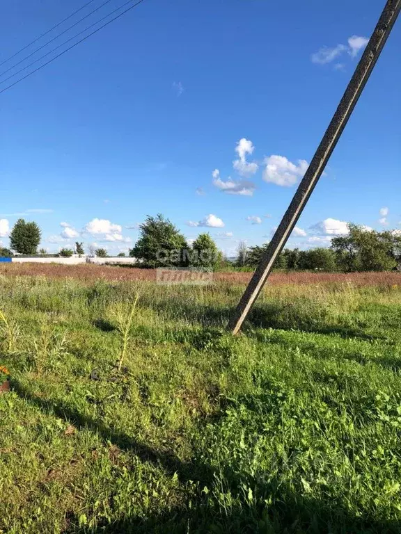 Участок в Калужская область, Перемышльский район, Гремячево с/пос, с. ... - Фото 2