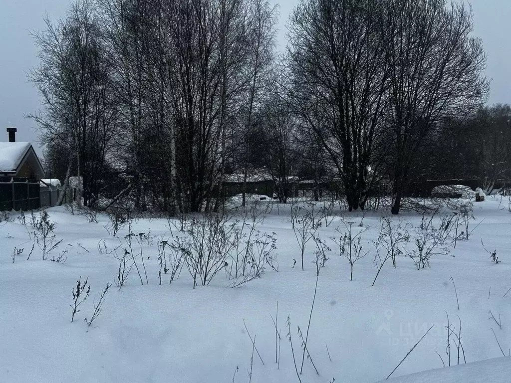 Участок в Московская область, Ступино городской округ, д. Березня ул. ... - Фото 1