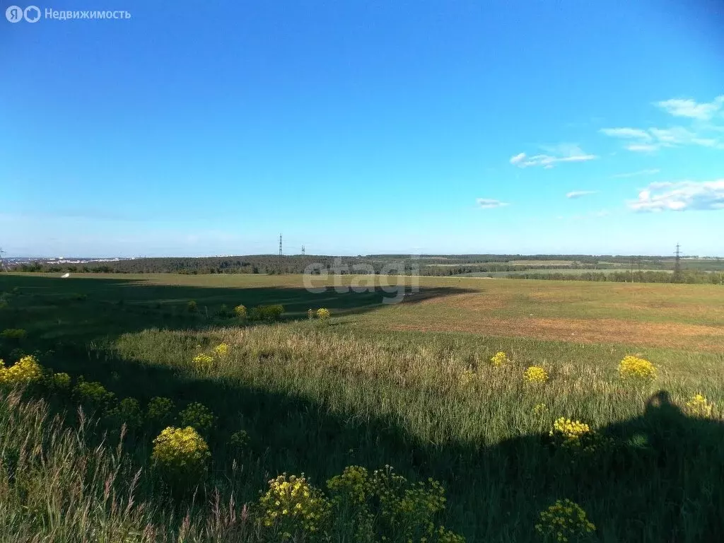 Участок в Кемеровский муниципальный округ, село Ягуново (1785.1 м) - Фото 0