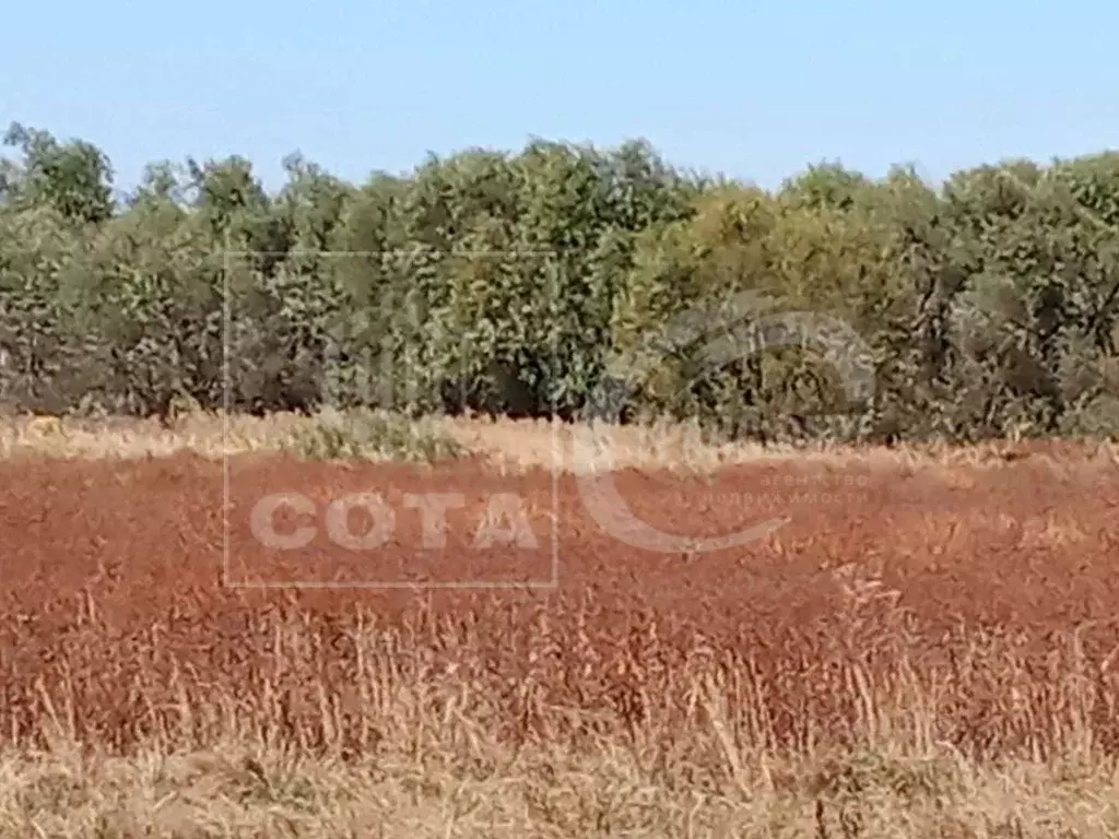 Участок в Воронежская область, Новоусманский район, Усманское 1-е ... - Фото 1