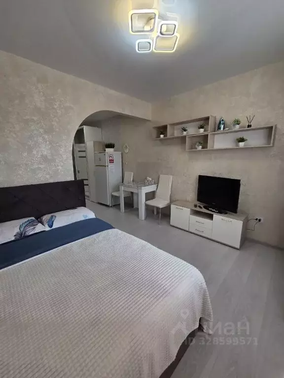 Студия Московская область, Ногинск Богородский городской округ, ул. ... - Фото 2