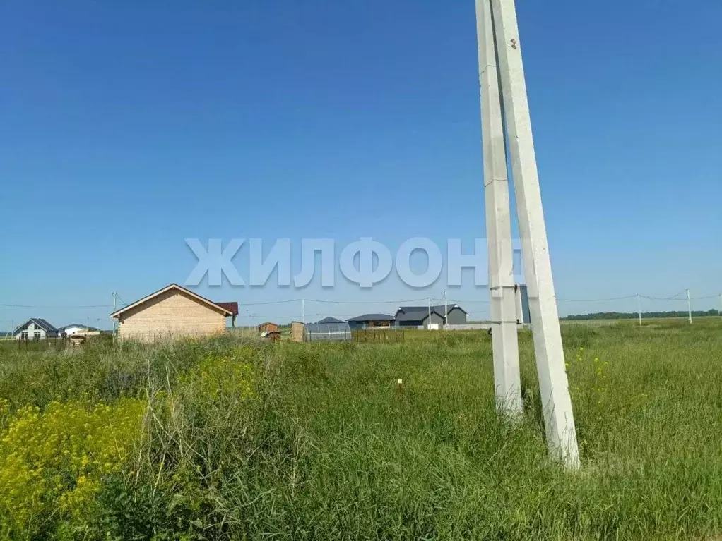 Участок в Новосибирская область, Новосибирский район, Толмачевский ... - Фото 1