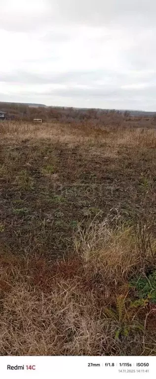 Участок в Воронежская область, Рамонский район, с. Новоживотинное ул. ... - Фото 2