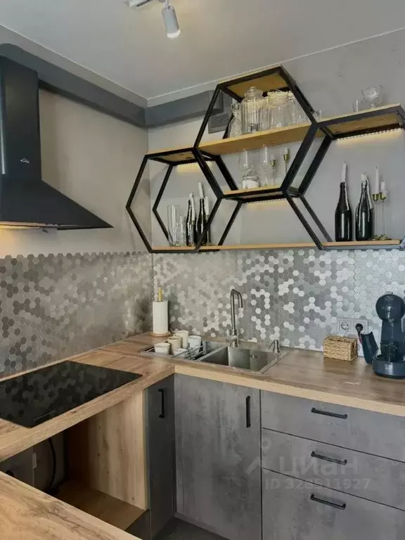 1-к кв. Воронежская область, Рамонский район, Яменское с/пос, Ветряк ... - Фото 1