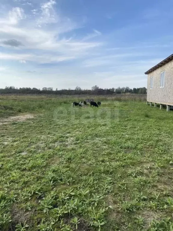 Участок в Ленинградская область, Ломоносовский район, Ропшинское ... - Фото 1