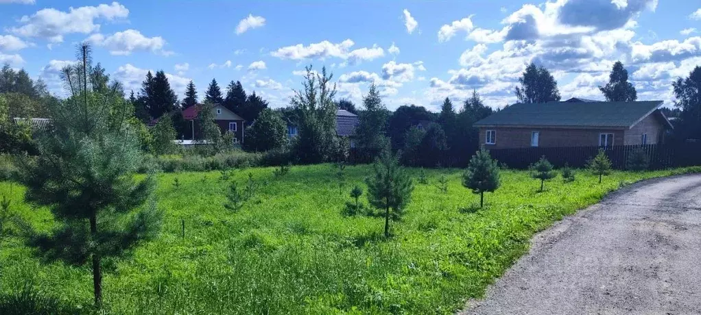 Участок в Московская область, Солнечногорск городской округ, д. ... - Фото 1