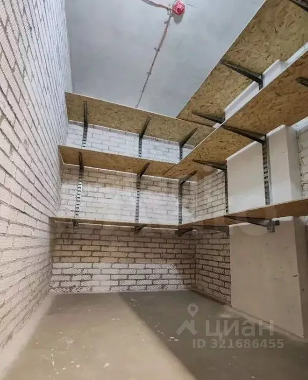 Помещение свободного назначения в Новосибирская область, Новосибирск ... - Фото 0