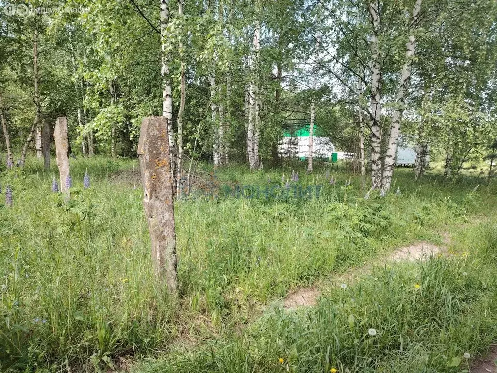 Участок в Нижегородская область, Богородский муниципальный округ, СТ ... - Фото 1