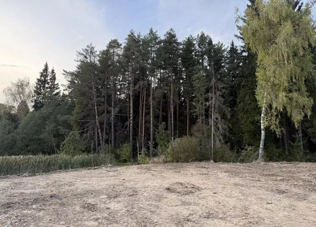 Участок в Московская область, Химки городской округ, д. Лугинино ул. ... - Фото 1