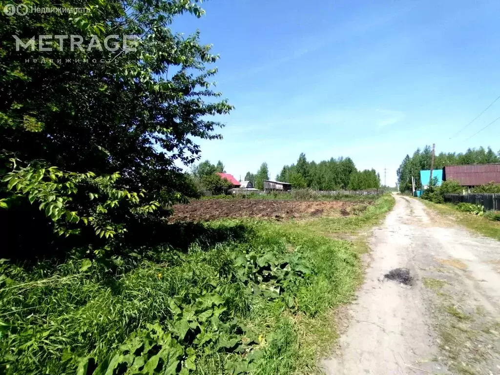Участок в Мошковский район, некоммерческое садоводческое товарищество ... - Фото 2