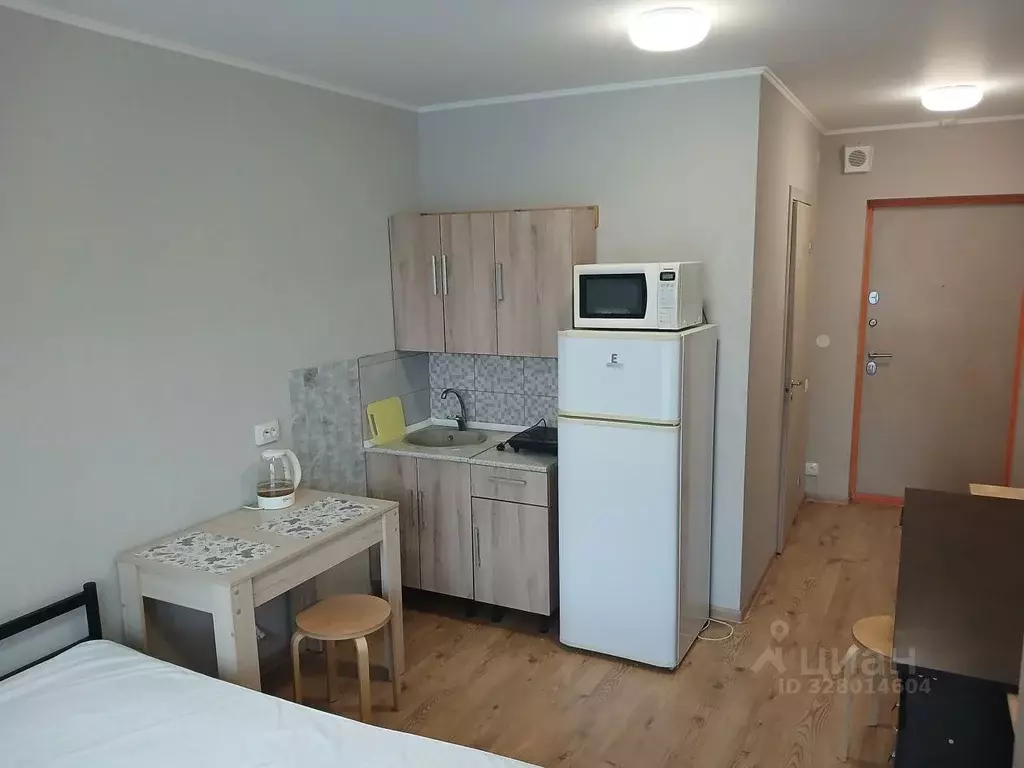 Студия Санкт-Петербург пос. Парголово, проезд Толубеевский, 8к2 (19.0 ... - Фото 1