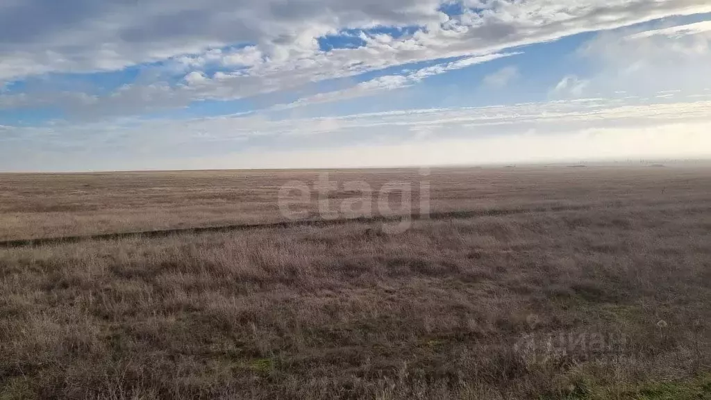Участок в Крым, Сакский район, Молочненское с/пос, с. Витино  (6.0 ... - Фото 1
