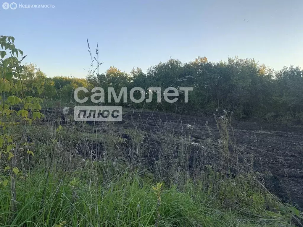 Участок в деревня Мозжуха, Совхозная улица, 13 (12.5 м) - Фото 2