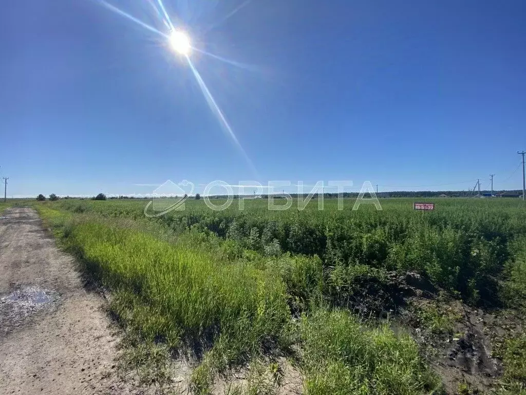 Участок в Тюменская область, Тюменский муниципальный округ, с. Борки  ... - Фото 1