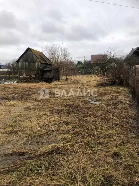 Участок в Калининградская область, Калининград Осень-Люблино СНТ, ... - Фото 0