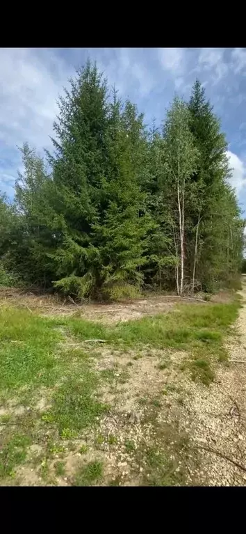 Участок в Ленинградская область, Гатчинский район, Рождествено Вилладж ... - Фото 0