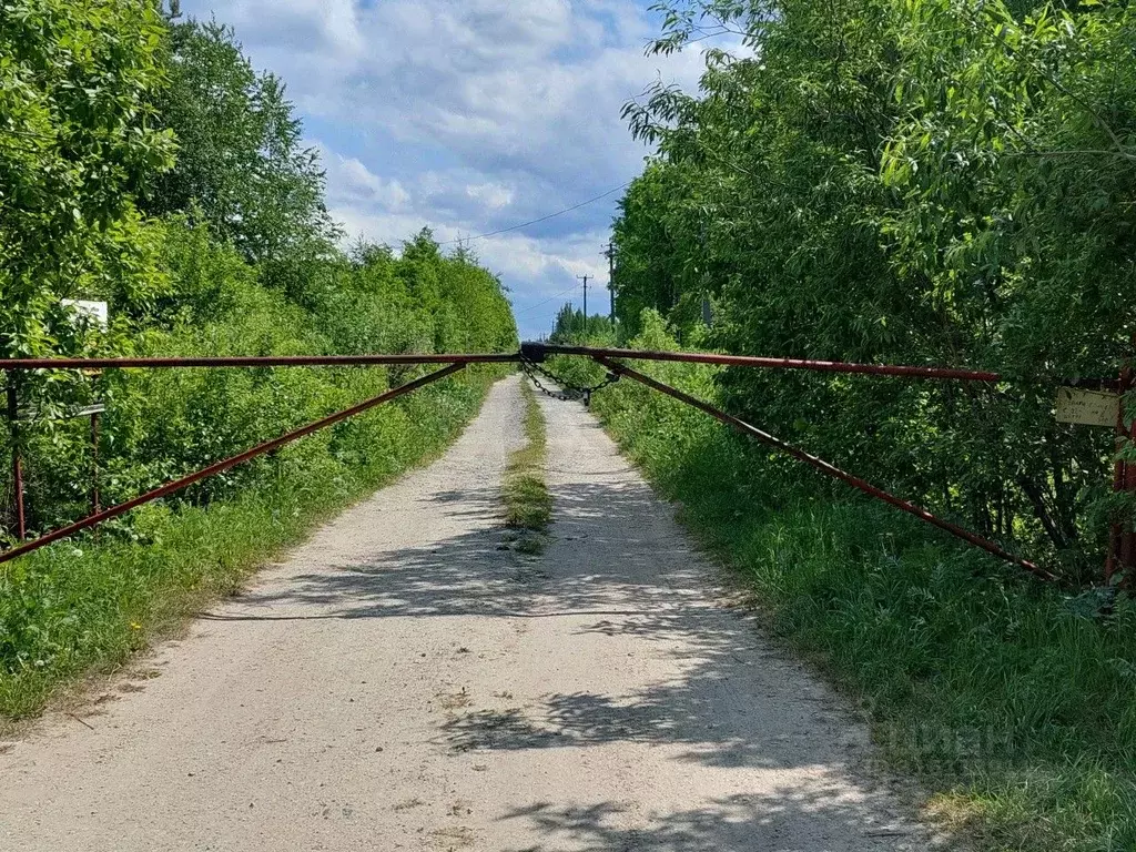 Участок в Свердловская область, Екатеринбург Кристалл СТ, 69 (10.0 ... - Фото 1