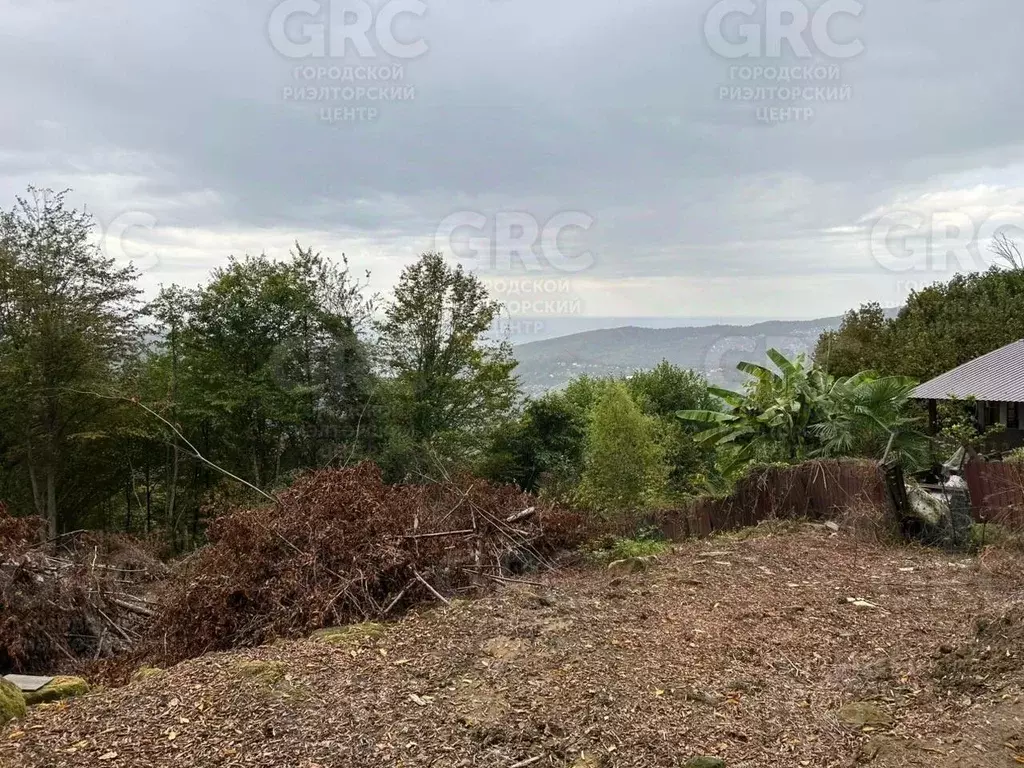 Участок в Краснодарский край, Сочи городской округ, с. ... - Фото 2