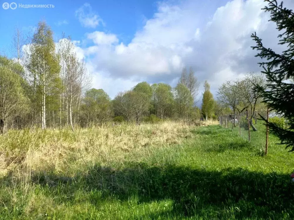Участок в Псковский район, Логозовская волость, садоводческое ... - Фото 1