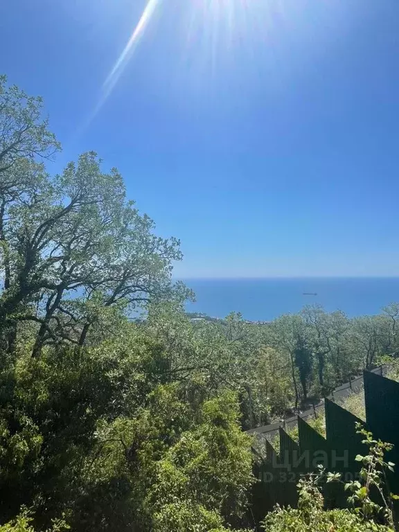 Участок в Крым, Ялта муниципальный округ, Массандра пгт ул. 16 Апреля ... - Фото 2