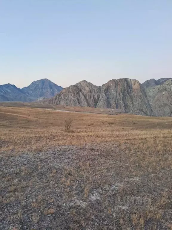 Участок в Алтай, Онгудайский район, с. Инегень Центральная ул., 15 ... - Фото 1