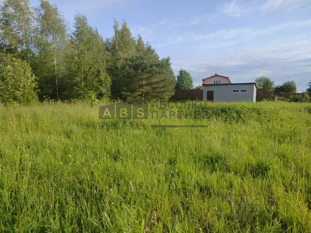 Участок в Новгородская область, Новгородский район, Ракомское с/пос, ... - Фото 1