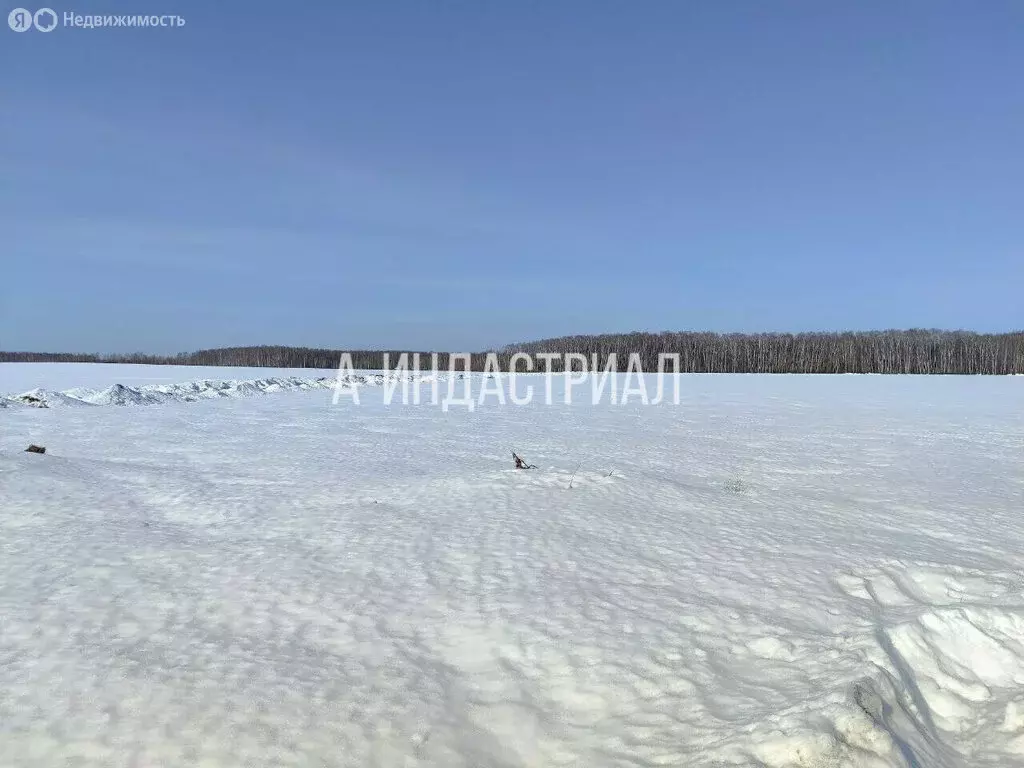 Участок в Московская область, Домодедово, микрорайон Белые Столбы (35 ... - Фото 1