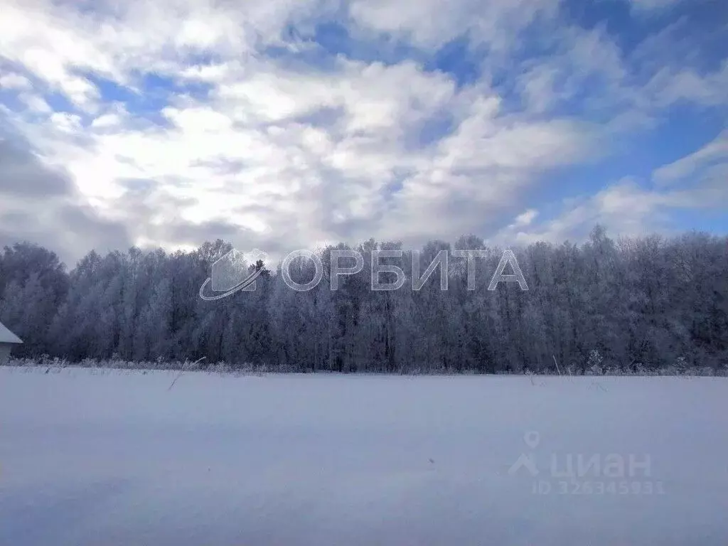 Участок в Тюменская область, Тюменский муниципальный округ, с. Кулига  ... - Фото 1