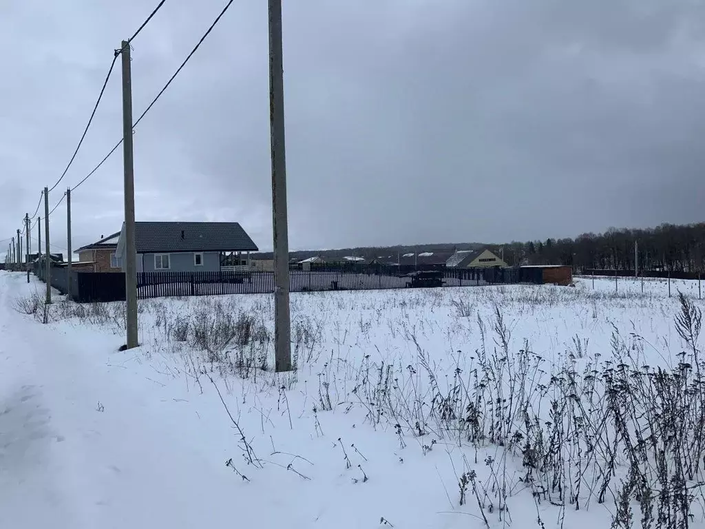 Деревня беляево московская область. Деревня Беляево Чеховский район. Беляево (Чеховский район). Деревня Беляево Кайбицкий район.