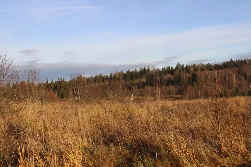 Участок в Московская область, Шаховская муниципальный округ, д. ... - Фото 1