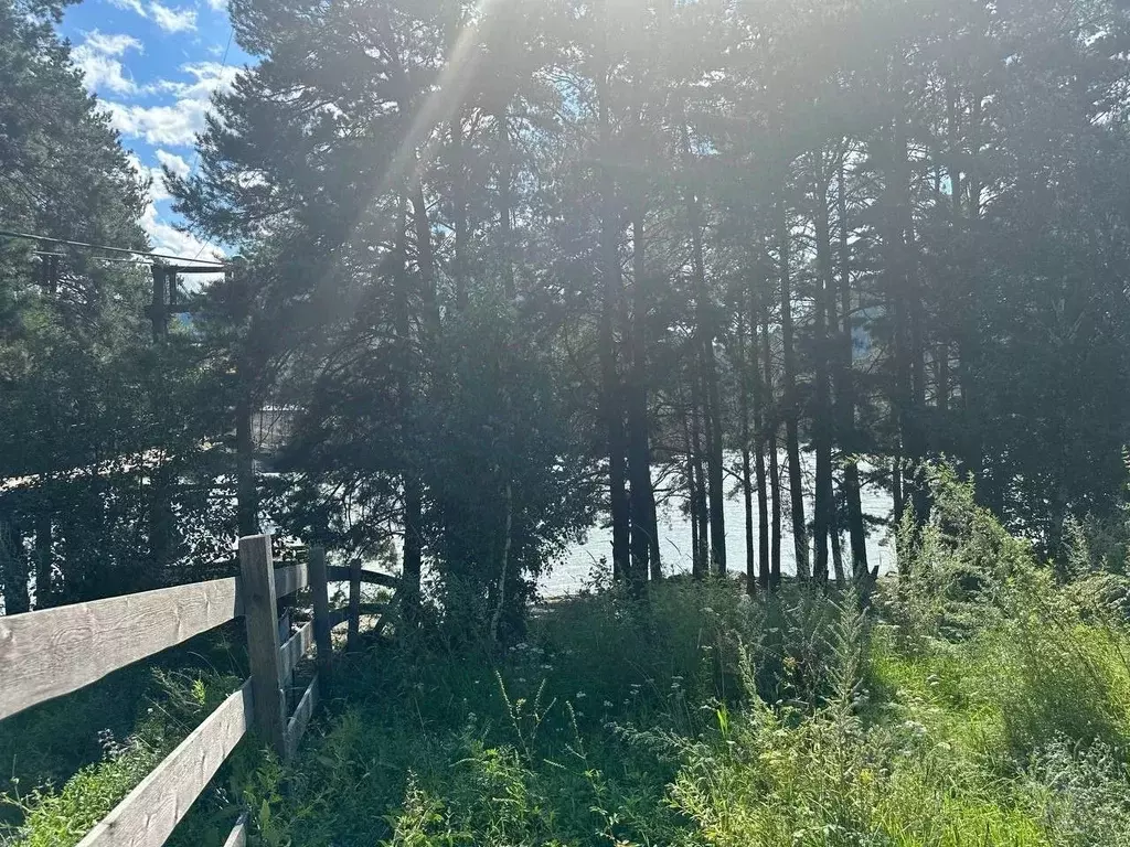 Участок в Алтай, Чемальский район, Узнезинское с/пос  (15.0 сот.) - Фото 2