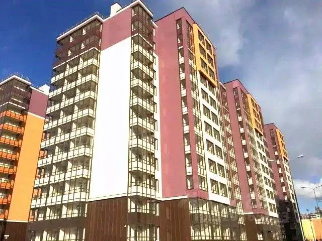 Студия Санкт-Петербург ул. Летчика Лихолетова, 14к4 (24.7 м) - Фото 1