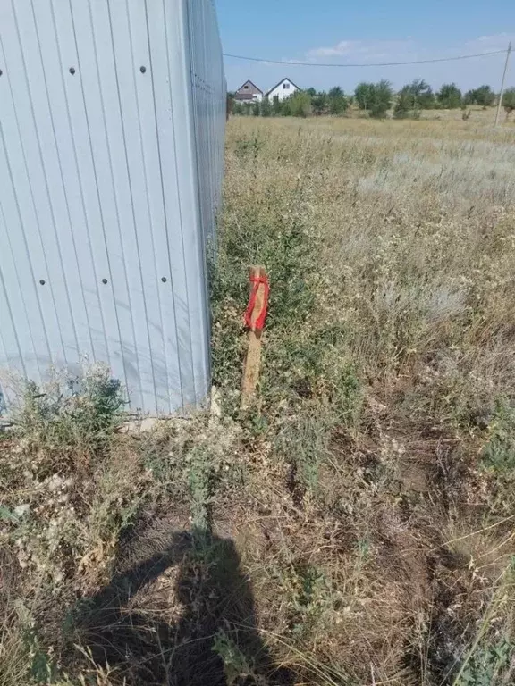 Участок в Волгоградская область, Городище рп, Есенино кп ул. Булгакова ... - Фото 0