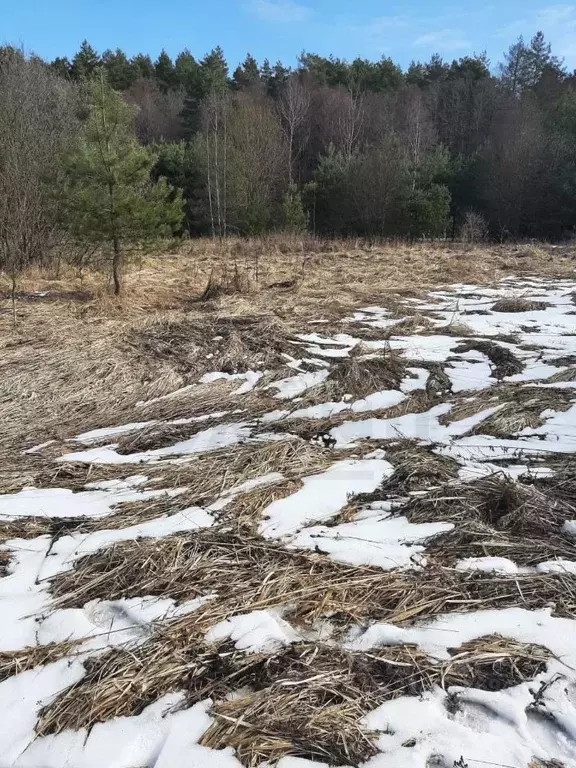 Участок в Калужская область, Дзержинский район, Льва Толстого с/пос, ... - Фото 2