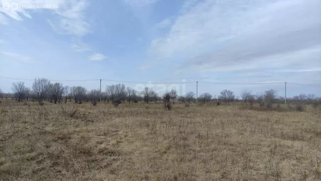 Участок в деревня Кайбалы, Казанская улица (12 м) - Фото 1