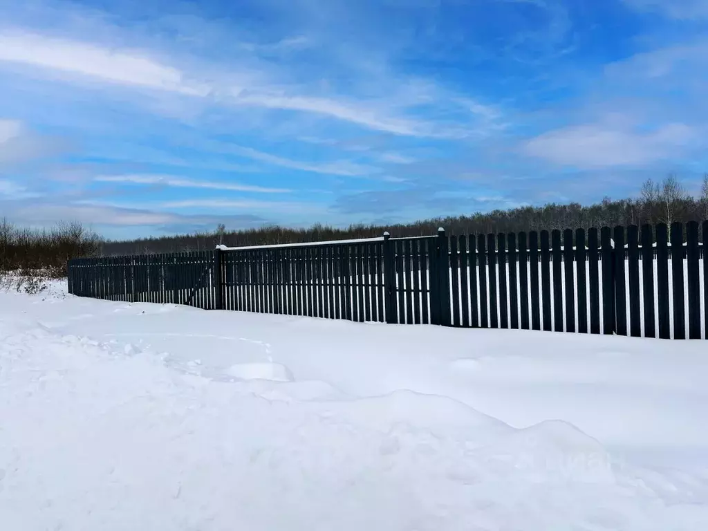 Участок в Московская область, Раменский муниципальный округ, Оттепель ... - Фото 1