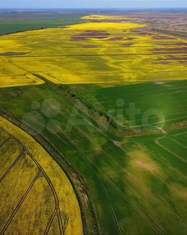 Участок 5 га (ИЖС) - Фото 1